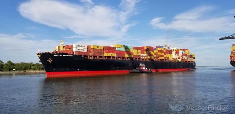MSC Alma VII